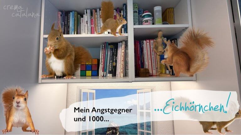 Bildcollage: rote Eichhörnchen turnen auf weißen Hängeschränken voller Nähbücher im Nähzimmer, darunter ein Poster mit Meerblick, dazu das Banner „Mein Angstgegner und 1000 Eichhörnchen"